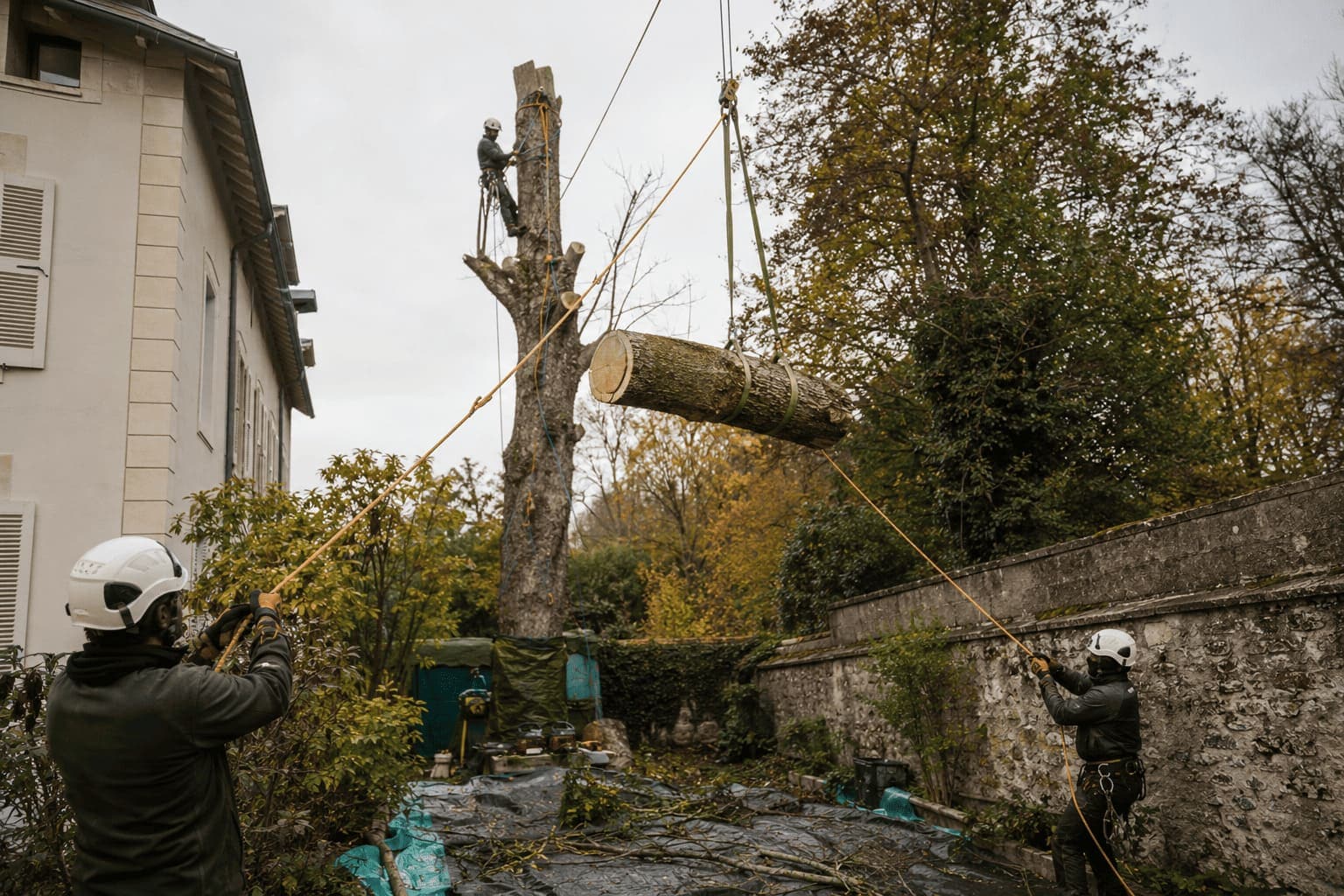 Démontage d’un arbre par rétention : une bille de bois descendue à la corde au-dessus d’un jardin clos, entre une maison et un mur de pierre