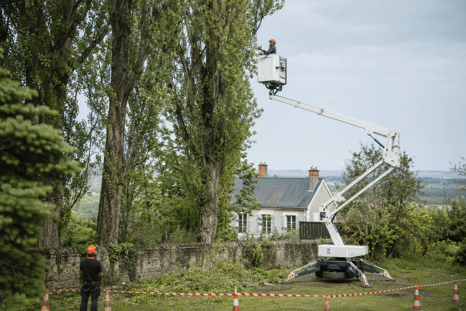 Opérateur en nacelle araignée taillant un alignement de peupliers, zone de chantier balisée par des cônes au sol